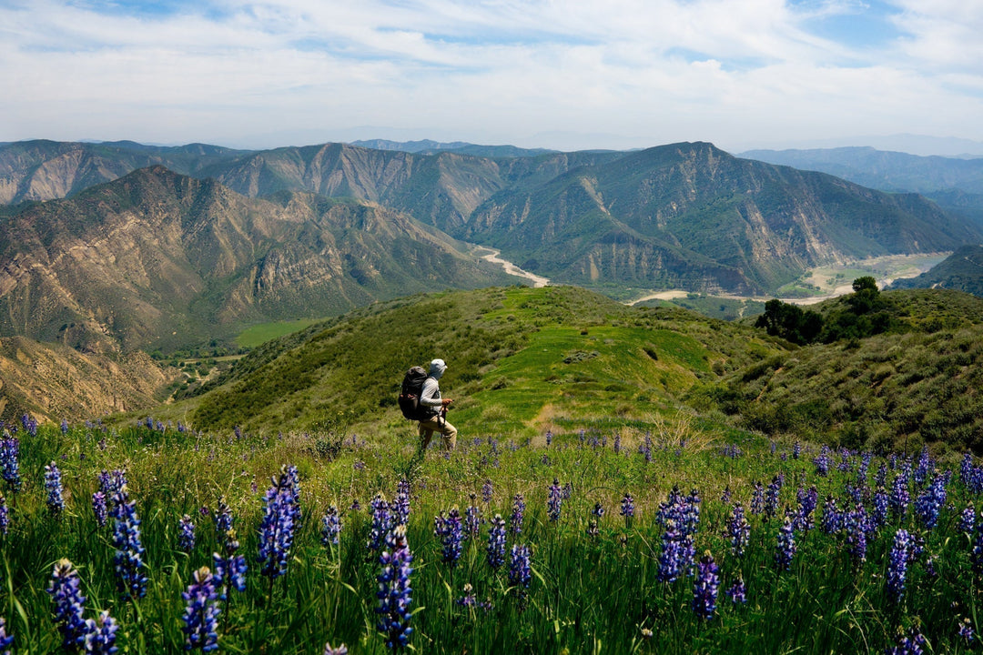 FIELD NOTES: TIDELINE TO ALPINE