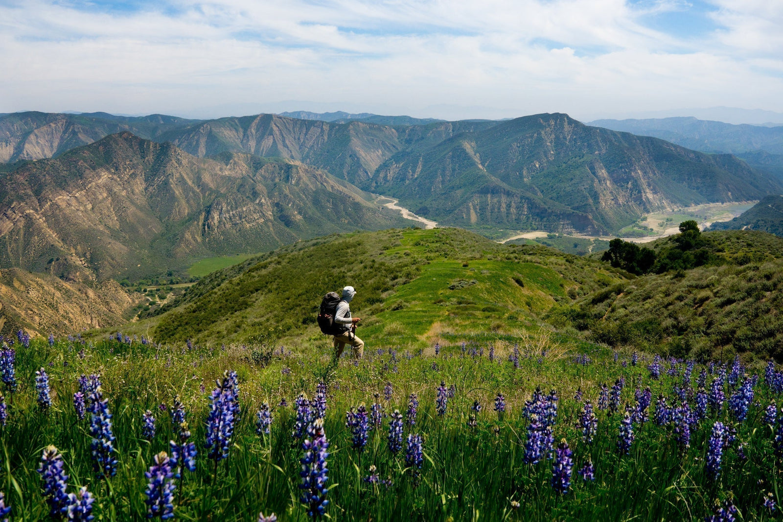 FIELD NOTES: TIDELINE TO ALPINE