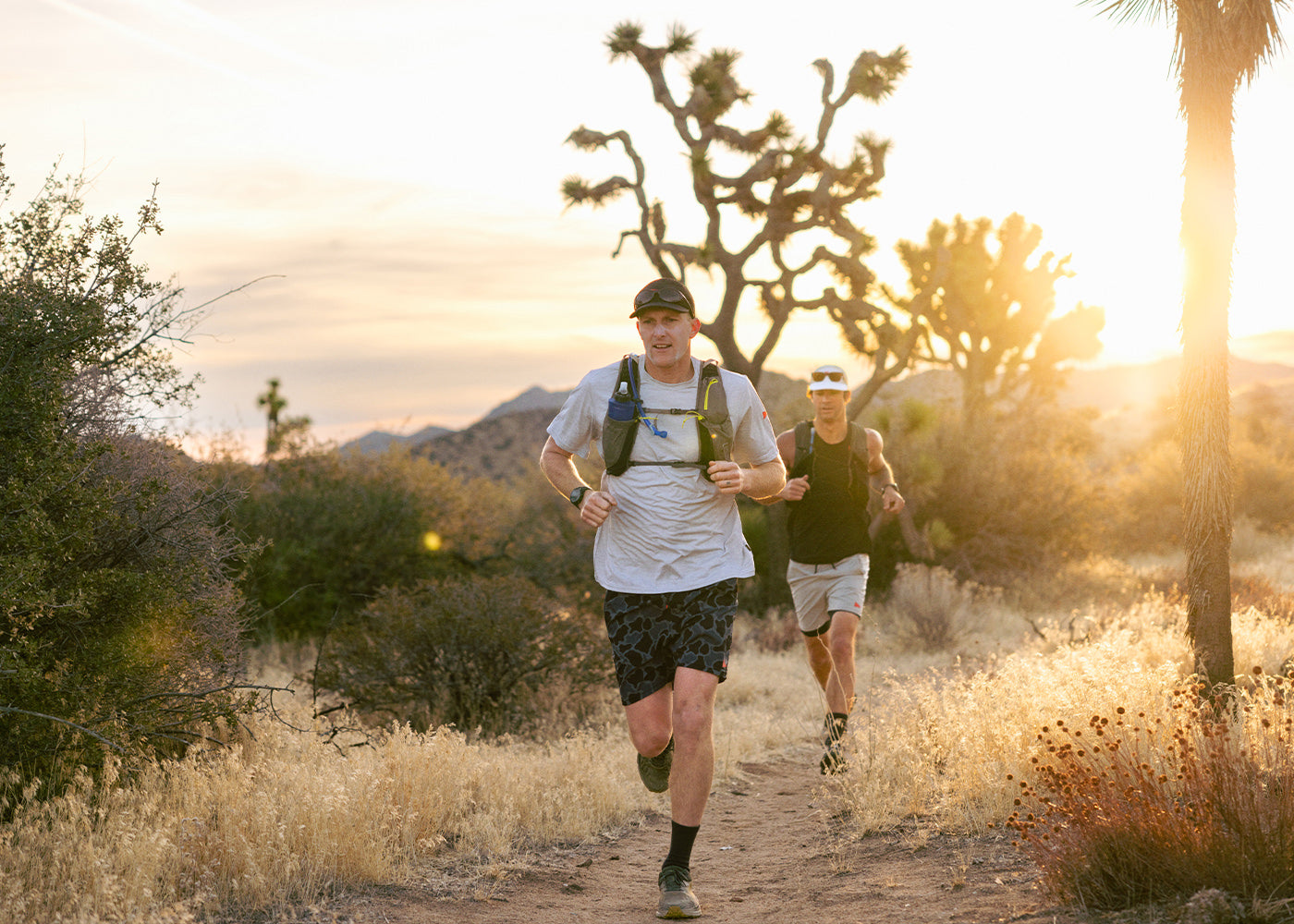 FIELD NOTES: 37 MILES ACROSS JOSHUA TREE WITH JACK BARK