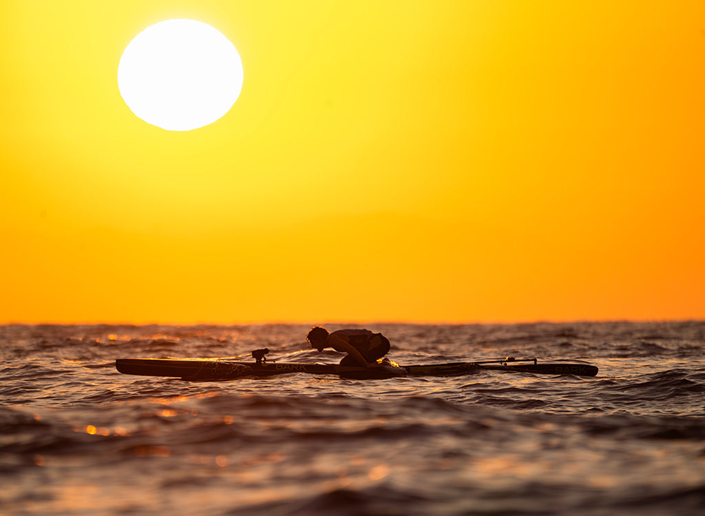 Jack Bark Catalina Classic