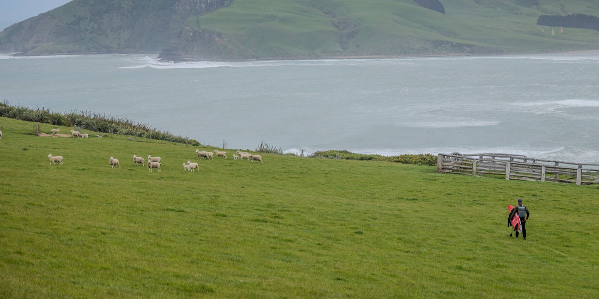 MERINO WOOL