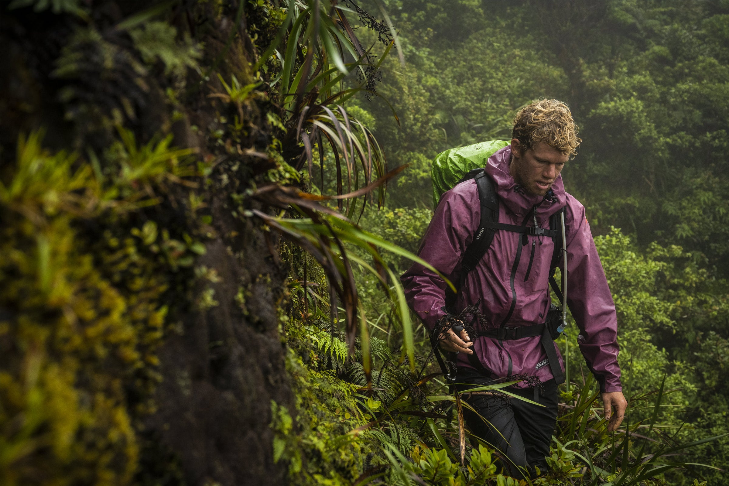 John hiking through the Koolau jungle on Oahu