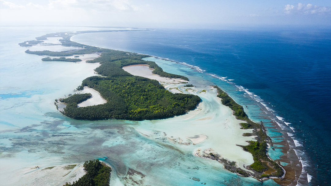 Florence Marine X Responsibility Page